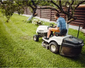 Lawn Garden