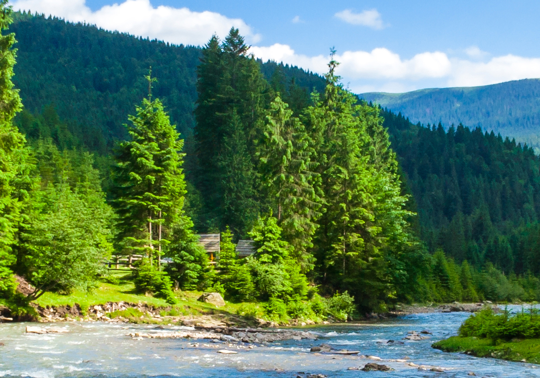 image of trees creek and mountains